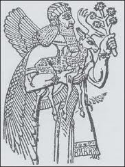 images2