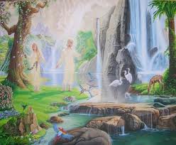 images6
