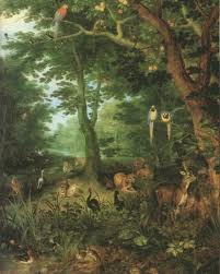 images8