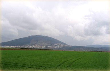 image003