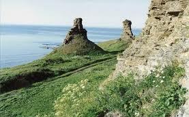 images11