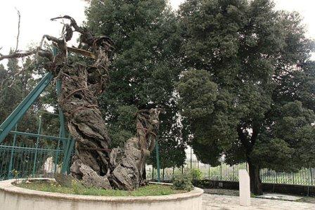image004
