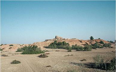 image006