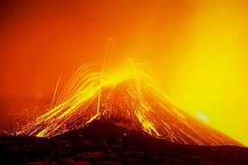 images24